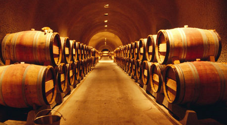 barrels in wine cellar