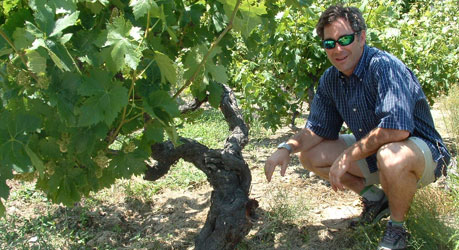 jordan in vineyard